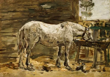 Valkoinen hevonen juomakaukalossa, n. 1885-1890