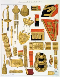 Kuninkaan kaartin santarmit, Insignia