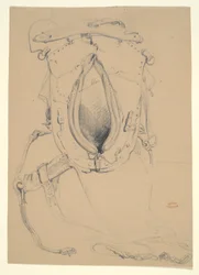 Hevosen tutkimus