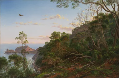 Teepuut lähellä Cape Schanckia, Victoria