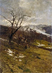 Talvi