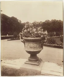 Versailles, Ballinin maljakko, 1902.
