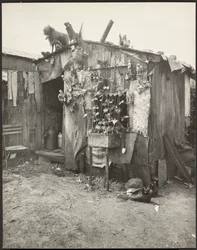 (Ragpicker