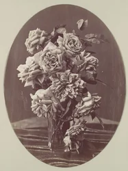 [Ruusut], n. 1875.