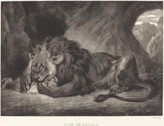 Atlasvuorten leijona (Lion de l