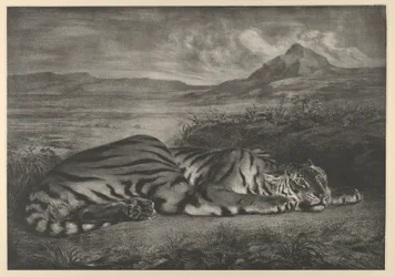 Kuninkaallinen tiikeri, 1829, 1829.