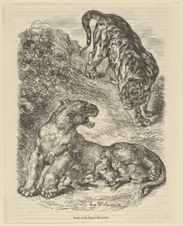Tiikeri hyökkäsi tiikeriin imettäessään poikaansa, 1853, 1853.