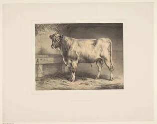 Stier Monipuolinen päivä (sarjan nimi) Eläintutkimukset (sarjan nimi)