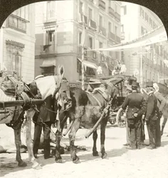 Valmentaja, Calle Mayor, Madrid.