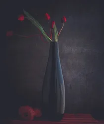 Tyylikkäät punaiset tulppaanit