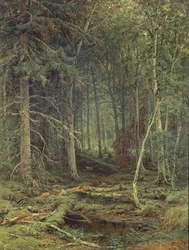 Suo metsässä, syksy, 1872