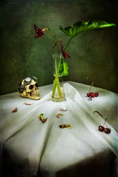 Gothic Skull Vanitas