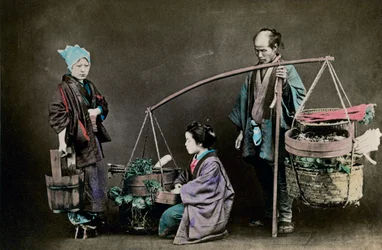 Vihannesvilja, Japani, 1882