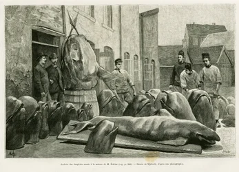 Kuolleiden delfiinien saapuminen herra Ostromin taloon Torrents Islandilla. Myrbachin kaiverrus havainnollistamaan tarinaa Un mois dans l