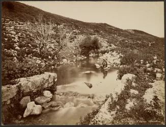 Elisan lähde, Palestiina