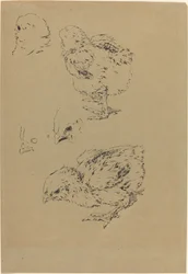 Poikaset
