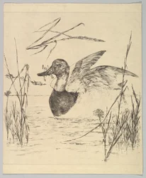 Ankka, 1850-1914.