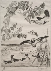 Lapwings and Teals, 1862.