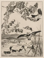 Lapwings and Teals, 1862.
