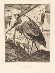 Les Cigognes (Haikarat)