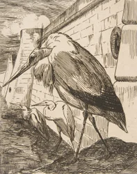 Haikarat, 1870-luvut, 1870-luvut.