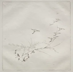 Parisian Service (Haviland-palvelu): Aivan auringossa (nro 9)