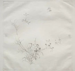 Parisian Service (Haviland-palvelu): Kuu (nro 5)