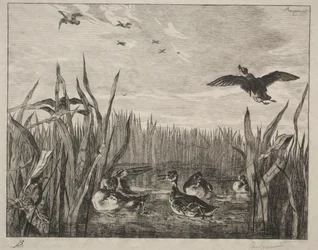 Sinivihreä, 1853.