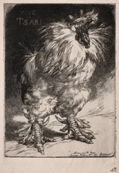 Ranskalainen kukko, 1893.