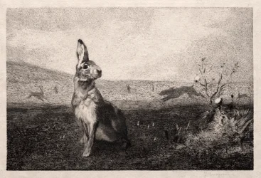 Jänis A. de Balleroyn jälkeen, 1865.