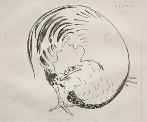 Huippupalvelu: Rooster (vastavarma)