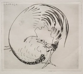 Huippupalvelu: Rooster