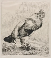 Vanha kukko, 1882.