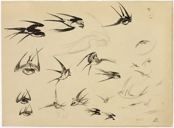 Pääskyset, noin 1881 (kynä, sivellin, muste, liitu, väriliitu ja grafiitti paperille).