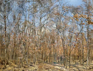 Pyökkimetsä, 1885-1894.
