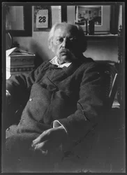 Kuva Kaarlen kultamerkistä (1830-1915)