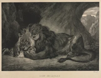 Atlas-leijona, 1829.