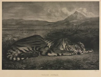 Kuninkaallinen tiikeri, 1829.