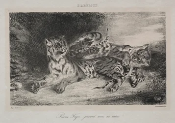 Nuori tiikeri leikkii äitinsä kanssa, 1831.