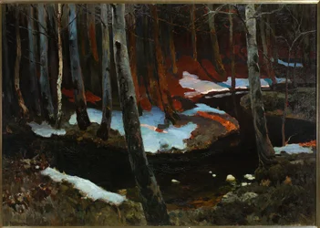 Metsäruczaj