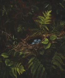 Linnunpesä ja saniaisia, 1863