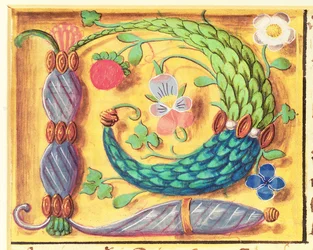 Ms 134 Valaistu kirjain `P, koristeltu kukilla, kirjasta Tuntikirja, n. 1500