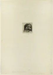 Flaamilainen toripuutarhuri