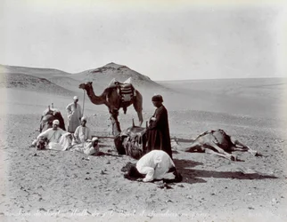 Egyptiläiset kamelit tauon aikana erämaassa. Etualalla kaksi pienen ryhmän jäsentä näyttävät rukoilevan