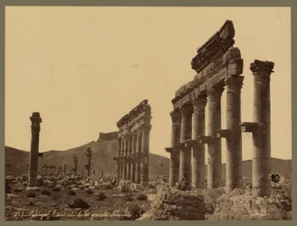 Osa suurta pylväikköä, Qalaat Ibn Maanin linna kaukana, Palmyra, n. 1875 (albumiprintti)