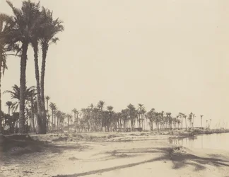 El-Nâcérah, Dattiers, Rives du Nil et Barques, 1851-52, painettu 1853-54.