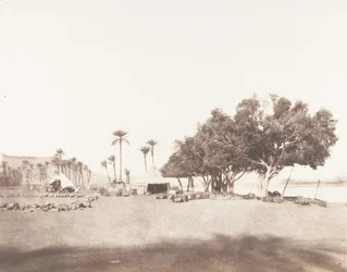 Korósko, Sycomores and Camping of a Caravan for the Sennâr, 1851-52, painettu 1853-54.