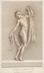 Hermafrodiitti