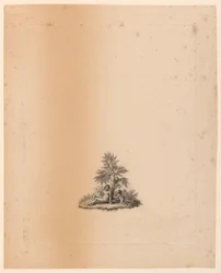 Vinyeta per a "Els jardins" de l