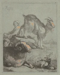 Istuva paimentar, päss, lammas ja vuohi, 1759.